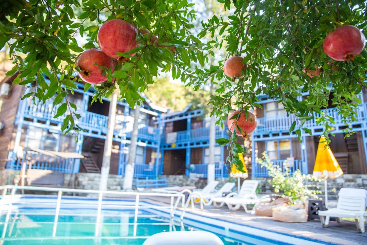 Olympos Cinar Hotel Εξωτερικό φωτογραφία